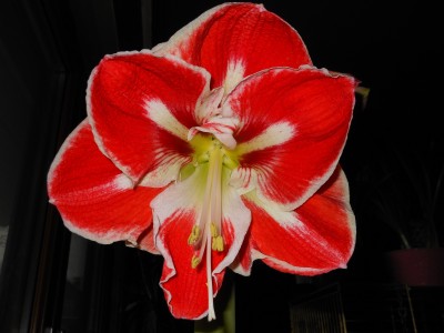 20.02.2013_07.JPG