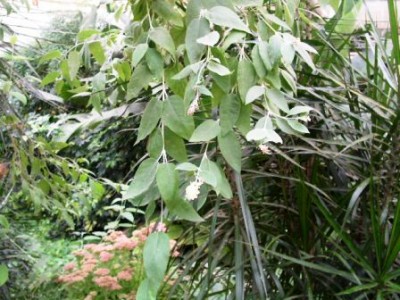PICT0149.JPG
