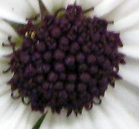 Februarrätsel2013_9813.jpg