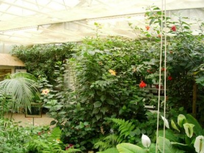 PICT0146.JPG