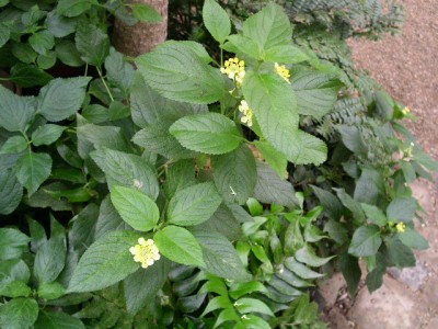 PICT0140.JPG