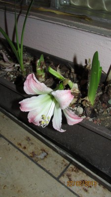 2013_1092.jpg