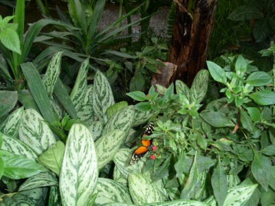 PICT0110.JPG
