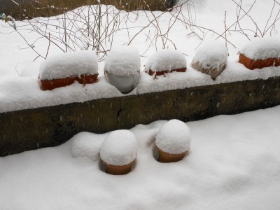 DSCN1807.JPG