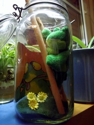Wetterfrosch (600x800).jpg
