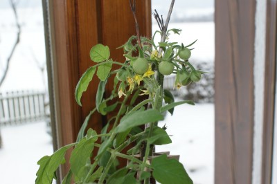 DSC04913.JPG