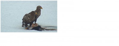 Nõva 2013-02-18 10-18-59.jpeg