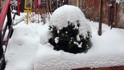DSCF1767.JPG