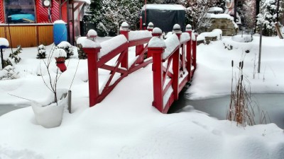 DSCF1757.JPG