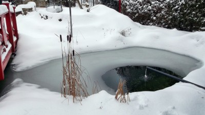 DSCF1758.JPG