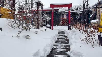 DSCF1754.JPG
