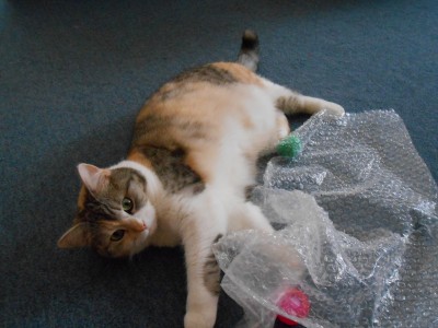 DSCN2195.JPG