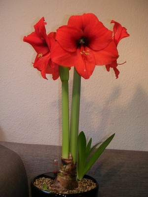 DSCN4150.JPG