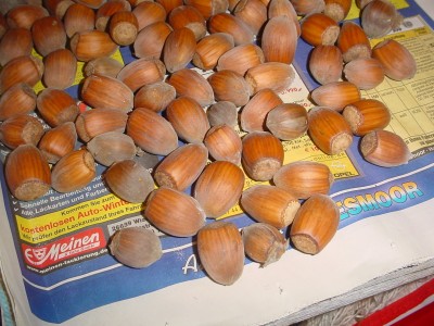DSC00124.JPG