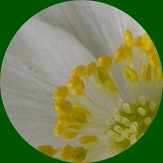 DSCN4629.JPG