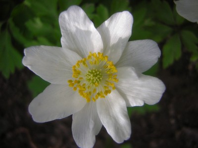 DSCN4629.JPG