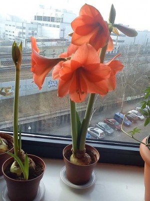 DSC01564___.jpg