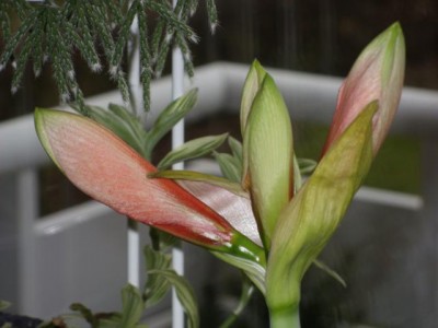 Photo3.jpg