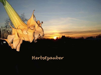 Sonnenuntergang Herbstzauber.jpg