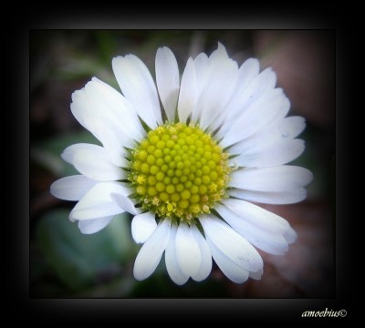 IMG_2764 - Kopie.JPG