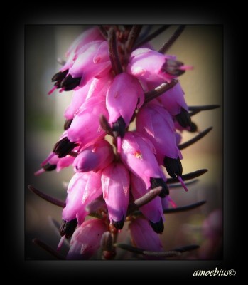 IMG_2751 - Kopie.JPG