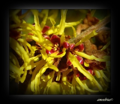 IMG_2750 - Kopie.JPG