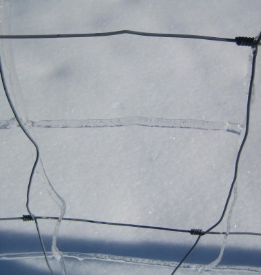 Winterphotos0 024.jpg