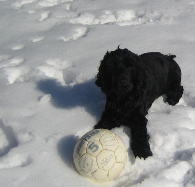 Winterphotos0 040.jpg