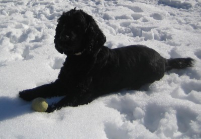 Winterphotos0 038.jpg