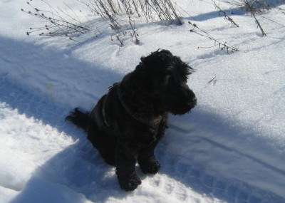 Winterphotos0 032.jpg
