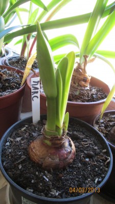 2013_1111.jpg