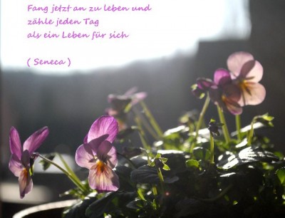 Frühling213 002yy.jpg