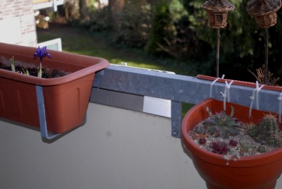 Frühling213 010yy.jpg