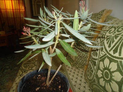 DSC04802 (800x600).jpg