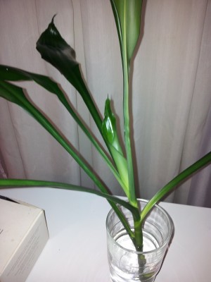 2013-03-07 23.56.40.jpg