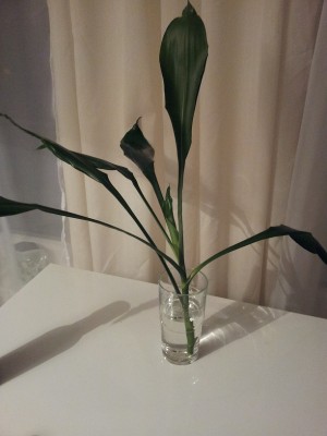 2013-03-07 23.56.30.jpg