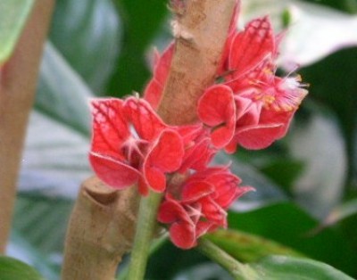 PICT0318.JPG