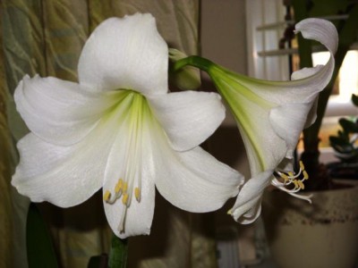 Photo3.jpg