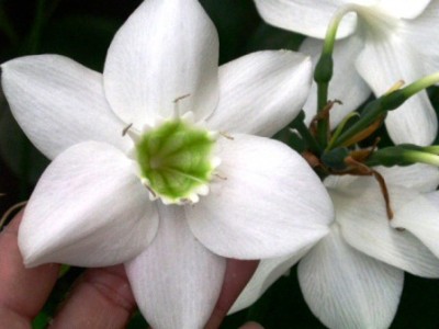 PICT0316.JPG