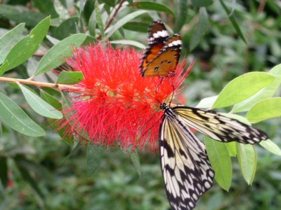 PICT0307.JPG