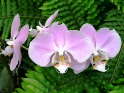 PICT0207.JPG