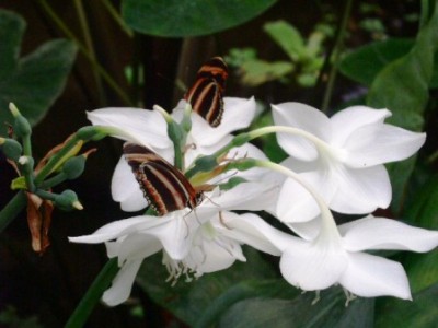 PICT0078.JPG