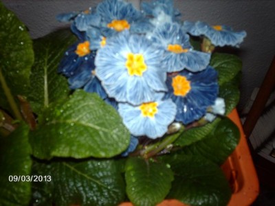K640_IMAG2956.JPG