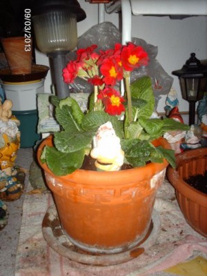 K640_IMAG2959.JPG