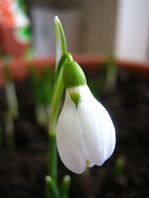 IMG_2849.JPG