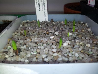 20130310_170151.jpg