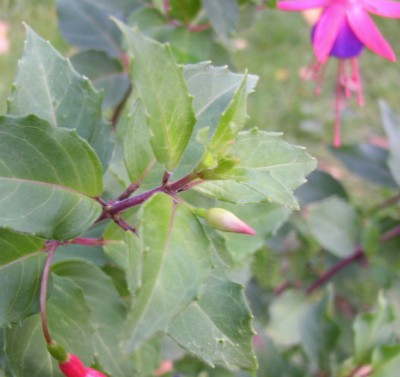 P9290093_01.jpg