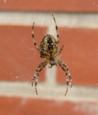 P9280088_02.jpg