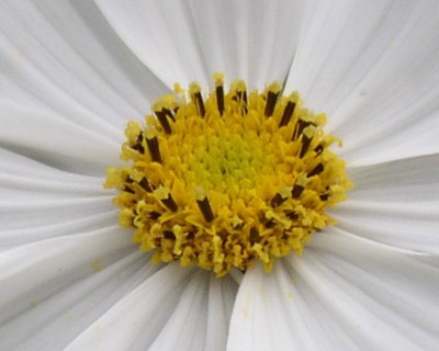 P9190093_01.jpg