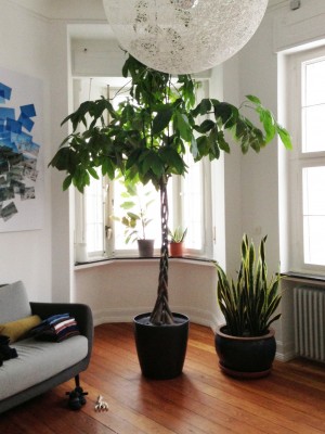 Foto 1a.jpg